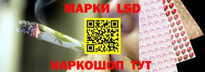 ГАЛЛЮЦИНОГЕННЫЕ ГРИБЫ Кингисепп