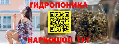 ГАЛЛЮЦИНОГЕННЫЕ ГРИБЫ Кингисепп