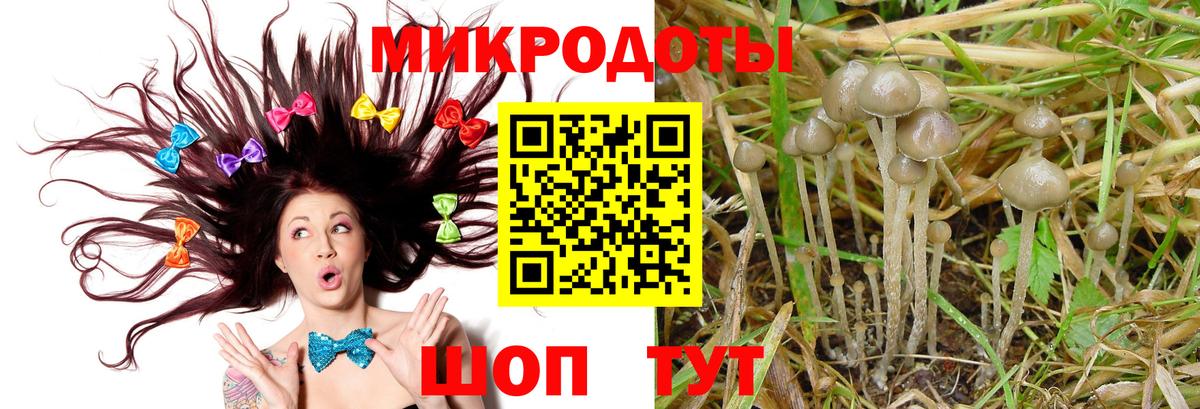 Галлюциногенные грибы мицелий  Вход с VPN  Клинцы 